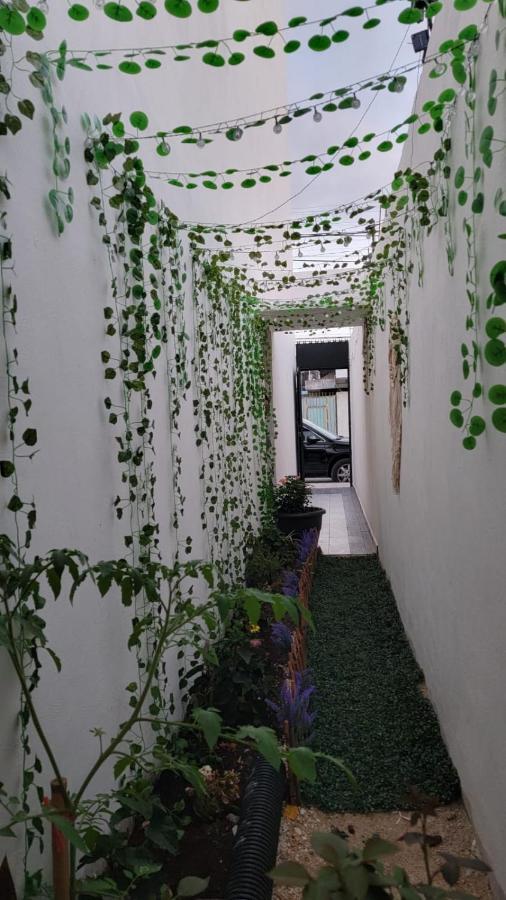 Casa Neptuno Tulumアパートメント エクステリア 写真